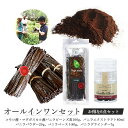 楽天バニラビーンズのアウローラ【 春のお菓子作り応援! ポイント3倍!! 】バニラビーンズ オールインワンセット コモロ産 有機JAS ブルボン 100g マダガスカル産 バニラビーンズエキストラクト80ml バニラビーンズ パウダー 20g （ 40本分 ） バニラビーンズグランダー