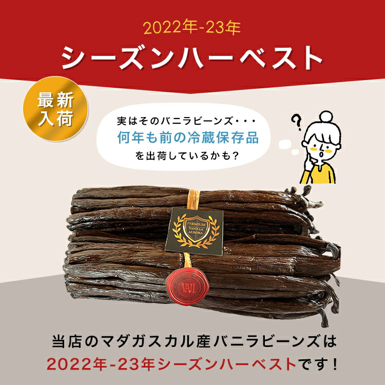 【本日ポイント10倍！】 マダガスカル産 バニラビーンズ 【16センチ以上・250g】 オーガニック ECOCERT A グルメ ブラック ブルボン バニラビーンズ 製菓用 業務用 ペースト ビーンズ バニラエッセンス ヴァニラ エクストラクト パウダー オイル エキス エッセンス バニラ 2