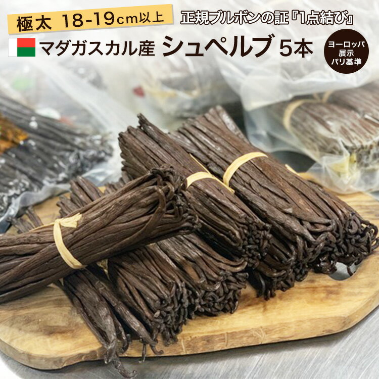 楽天バニラビーンズのアウローラ【 春のお菓子作り応援! ポイント2倍!! 】マダガスカル産 バニラビーンズ 【極太 極長約18cm】 【5本】 ヨーロッパブース展示用 超希少品 GourmetBlackマダガスカル オーガニックECOCERT Aグレード ブルボン エッセンス チョコ