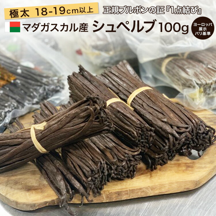 楽天バニラビーンズのアウローラ【 春のお菓子作り応援! ポイント2倍!! 】マダガスカル産 バニラビーンズ 【極太 極長約18cm】 【100g】 ヨーロッパブース展示用 超希少品 GourmetBlackマダガスカル オーガニックECOCERT Aグレード ブルボン エッセンス チョコ