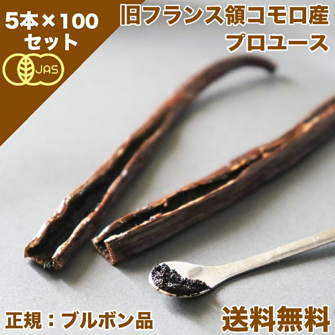 【 春のお菓子作り応援! ポイント2倍!! 】バニラビーンズ 香り Vanillin 一般比:2.5倍 オーガニックコモロ産 5本入×100個セット 有機JAS【贈答】 正規ブルボン規格 GourmetBlack 旧フランス領 お菓子作り バニラエクストラクト バニラエッセンスバニラ