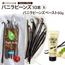 ポイントUP!バニラビーンズ 【15-19cm】 【10本】 加熱・非加熱用 ペースト50Gセット パプアニューギニア産 バニラ ペースト エッセンス ブルボン...