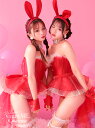 【4点セット】Miss.RED LADY ハイレグバニー vcsbn-20017-5