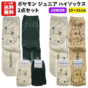 【メール便送料無料】 ポケモン ジュニア ハイソックス 2点セット 15〜21cm | 2P セット ポケットモンスター ピカチュウ カビゴン イーブイ 靴下 ...