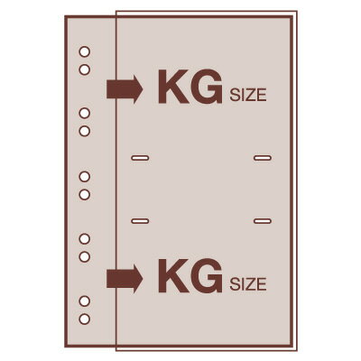 受発注品 ナカバヤシ ポケット替台紙 KG判2段 10枚入 バインダー式用 アP-MYR-102-W ホワイト 2