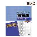 受発注品 ナカバヤシ フォートフリーアルバム用替台紙 四ツ切 3枚入 ロッ骨式用 ア-PR-5