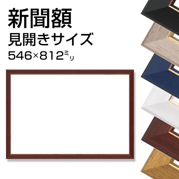 送料無料 新聞額 見開きサイズ 全6色 546x812mm 【 新聞 飾る フレーム 額縁 額装 両面 広告 壁掛け 】