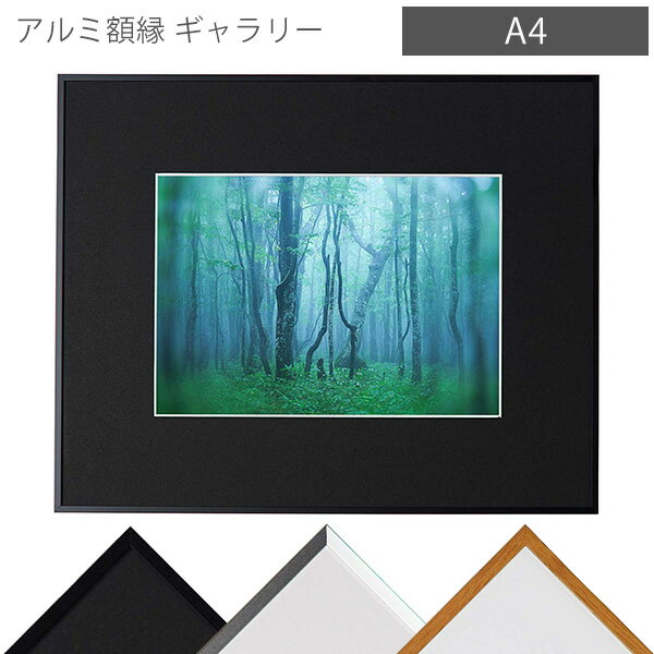 受発注商品 ケンコー・トキナー アルミ額縁 ギャラリー A4 写真 フレーム 額 壁掛け