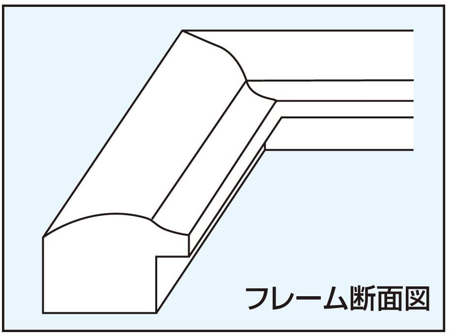 受発注商品 アルミ調 樹脂製 デジタルプリントフレーム A5/2L判 兼用 DGF-DPA5 スタンド付 ナカバヤシ 額縁 フレーム 銀 シルバー 卓上 壁掛け 軽量 [2]