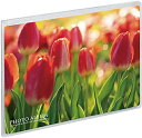 ミニポケ フォトアルバム 高透明 2Lサイズ 横 129×180mm 20枚収納 KP-7008 セキセイ ポケットアルバム 写真 整理 収納 クリア シンプル...