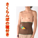 送料無料(FDS)日本製さくらんぼの種付き腹巻(パイル腹巻き ポケット付き腹巻 茶 ブラウン