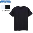 グンゼ ボディワイルド 天竺 編み グンゼ Tシャツ 厚手 厚地 半袖 Tシャツ 綿100% メンズ 抗菌防臭 下着 tシャツ 綿100 bwb613j bwb615j 1000円ポッキリ 送料無料