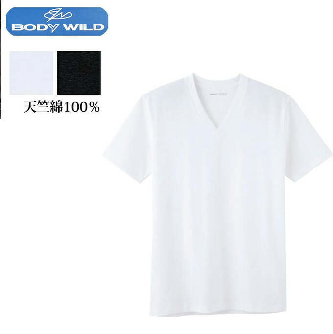 グンゼ ボディワイルド 天竺 編み 半袖 Tシャツ 綿100％ メンズ 抗菌防臭 下着 tシャツ 綿100 bwb613j bwb615j 1000円ポッキリ 送料無料