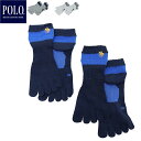 【2足セット】GUNZE グンゼ POLO BCS サポートソックス 5本指ソックス メンズ 紳士靴下 消臭 速乾 スポーツソックス