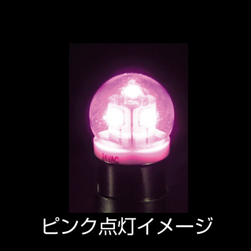 Rakuten - LEDバルブ ジェットイノウエ LED G-18 電球タイプソケット式バルブ ピンク DC24V 528705
