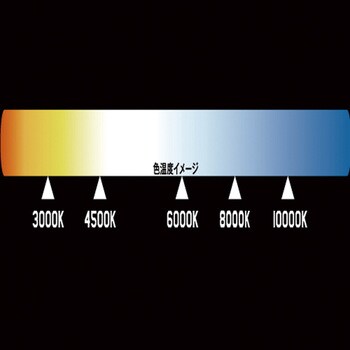 ハロゲンバルブ ジェットイノウエ 24V 専用 H4 4500K ホワイト HA-003 528093