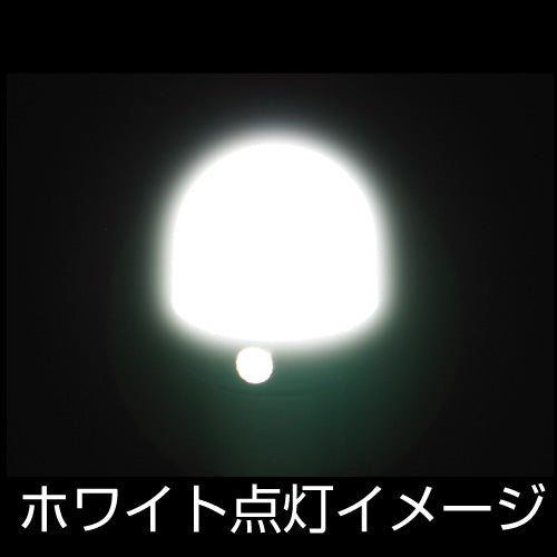 ジェットイノウエ LC-05 BA9Sタイプ 3Dバルブ ホワイト 528724