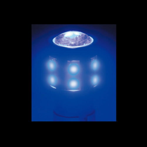 Rakuten - ジェットイノウエ LC-01 LED ハイパワー ソケット式バルブ NEO ブルー 529681