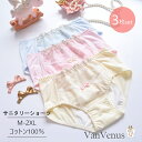 【スーパーSALE限定20%OFF&特別クーポンあり】 サニタリー ショーツ 生理用ショーツ レディース 女性 下着 パンツ 3枚組 3枚セット 刺繍 レース 可愛い かわいい ゆめかわ ランジェリー コットン ピンク イエロー ブルー RC