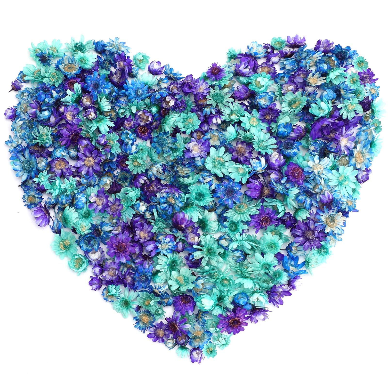 樂天商城 - Neiang ドライフラワー レジン用 400個入り 押し花 乾燥シート レジン ドライフラワー ドライフラワー 花材 ホログラム パーツ ブルー+パープル