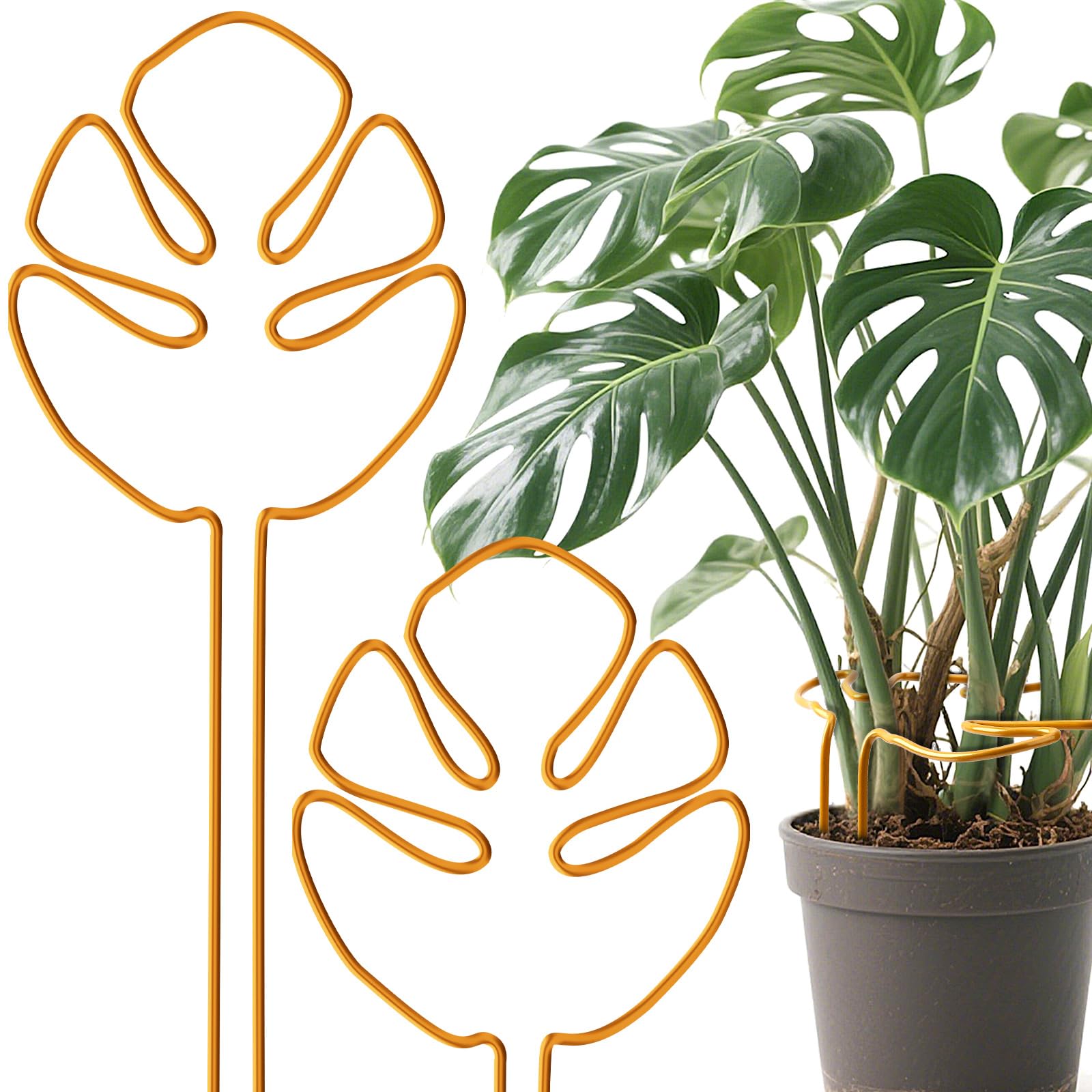 Neiang モンステラ 支柱 2本セット 観葉植物 支柱 モンステ 園芸 植物サポート 合金製 ココナッツ へご 支え ガーデニング用 転倒防止