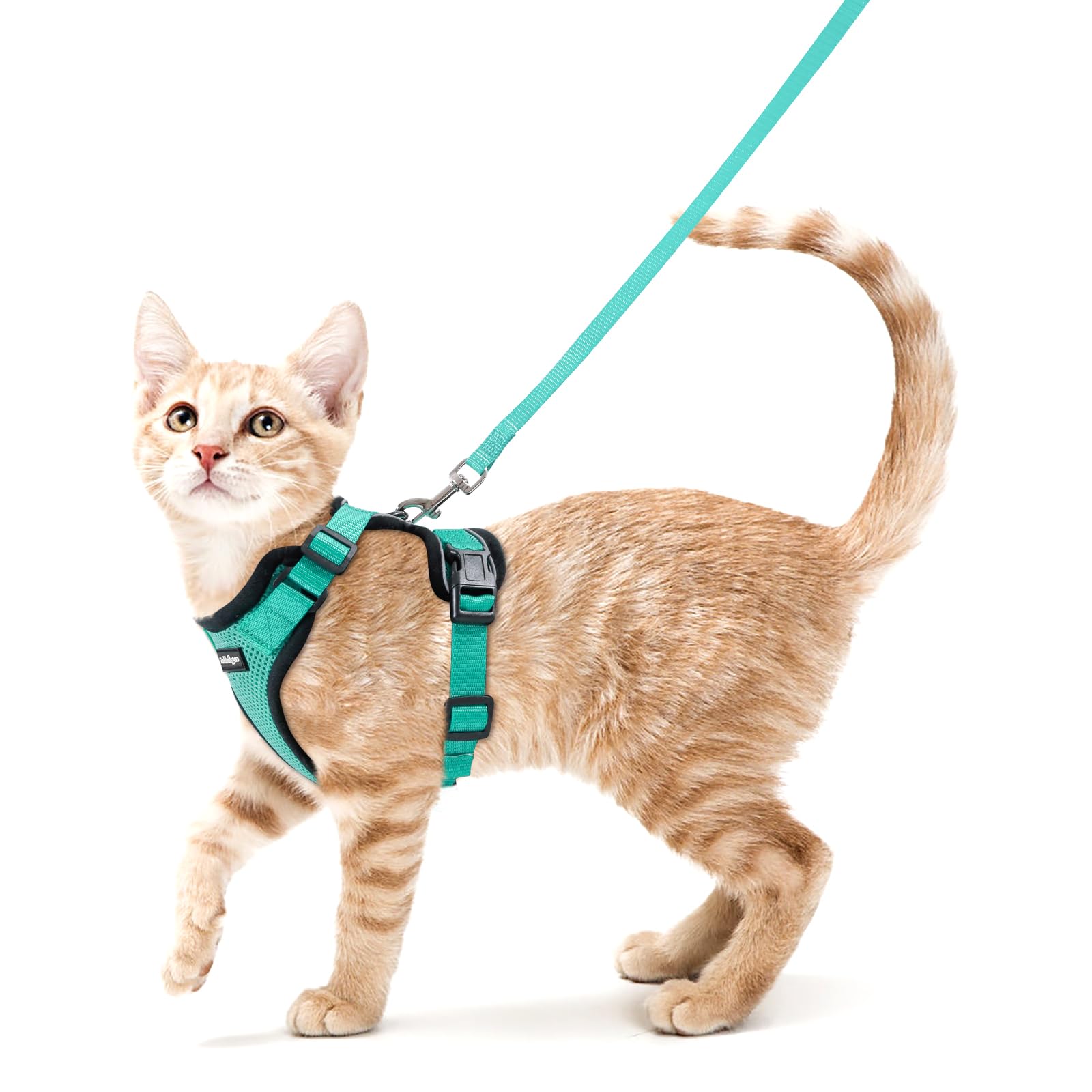 Rakuten - Rabbitgoo 猫 ハーネス リード セット 犬猫兼用 超小型犬 小型犬 抜けない 猫用ハーネス ソフト胸あて 軽量 足を上げず装着完成 サイズ調節可 夜反射 通気メッシュ 咳込み防止 散歩 犬用ハーネス 猫の胴輪 くびわ ベスト パグ ネコねこ子猫