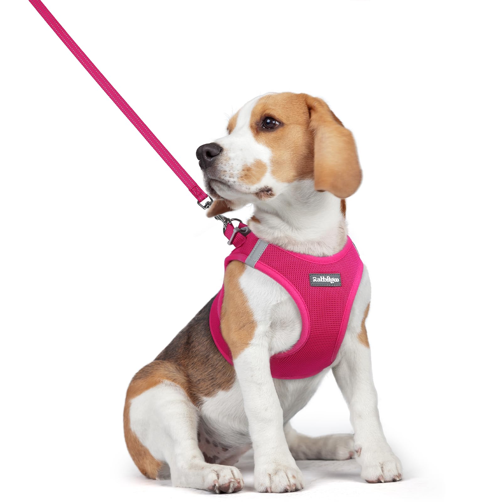 樂天商城 - Rabbitgoo 犬ハーネス リードセット 超小型犬 小型犬 中型犬 大型犬 犬用 胴輪 ソフト マジックテープ付き 反射素材付き ペット用品 はーねす 引っ張り防止 抜けない 喉に優しい 夜間反射 調節可能 脱着簡単 軽量 メッシュ 快適 通気 手洗い
