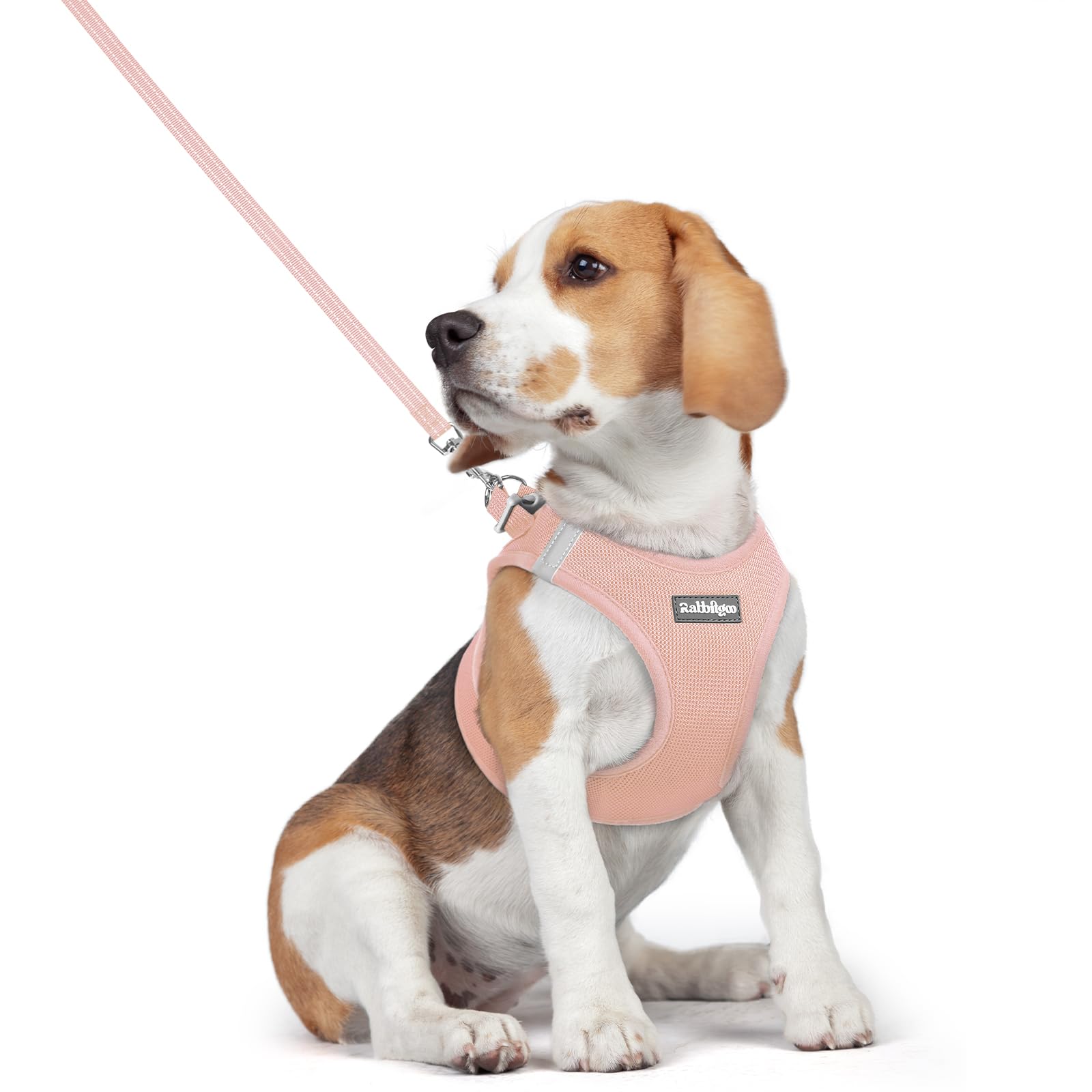 Rakuten - Rabbitgoo 犬ハーネス リードセット 超小型犬 小型犬 中型犬 大型犬 犬用 胴輪 ソフト マジックテープ付き 反射素材付き ペット用品 はーねす 引っ張り防止 抜けない 喉に優しい 夜間反射 調節可能 脱着簡単 軽量 メッシュ 快適 通気 手洗い