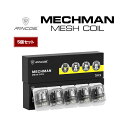 rn mmmeshcoil - 【レビュー】RINCOE MECHMAN 228W MOD　ちょっと重いけど、派手なデザインのいかついデュアルバッテリーモッドの紹介です！