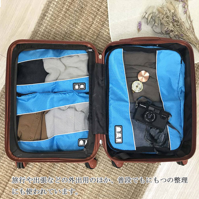 DKSHジャパン サイレンシア フライトプラス 携帯ケース付 1ペア入 ホワイト