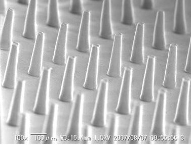 東洋レヂン ソマニクス ソマレゾン L 100...の紹介画像3