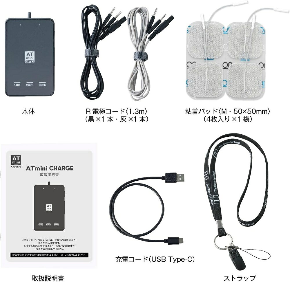 伊藤超短波 コンディショニング機器 ATmini CHRAGE (AT ミニ チャージ) マイクロカ...