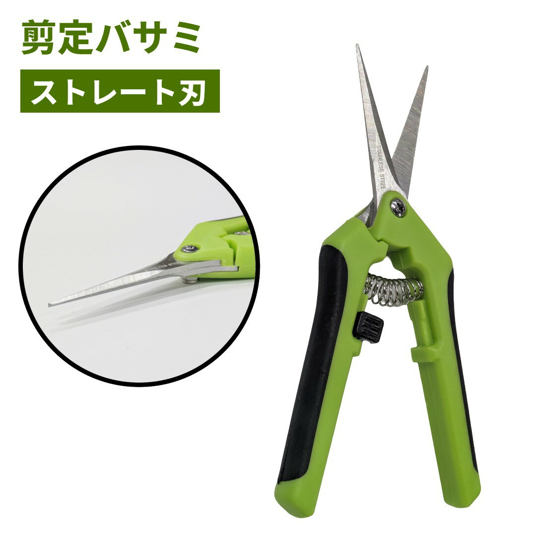 ����ϥ��� ���ȥ졼�ȿ� ����Х��� �٤������ ����ѥ��� �̼� �ߺ� ��� ������[�椦�ѥ��å�ȯ��������̵��������Բ�]