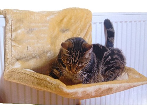 Ĥ åȥ ǭ å ٥å[̵(ϰ)]