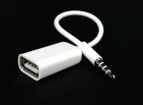 AUX�����Ѵ����ͥ��������֥� USB A(�᥹) - 3.5mm���ƥ쥪�ߥ˥ץ饰 20cm[�����͹�ء�����̵��������Բ�]