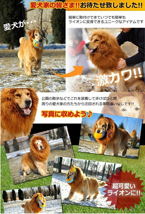 �������饤������ѿ� ���Ƥ��ߥ����å� �ڥå��� ���ʪ[�ڥå�][�椦�ѥ��å�ȯ��������̵��������Բ�]