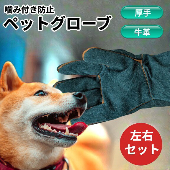噛み付き防止ペットグローブ 商　品　説　明 【噛み付き防止設計で安心】 独自の縫い目保護ストリップにより、ペットの鋭い歯から手をしっかりガード。グローブが破れる心配もなく、安心してケアやしつけができます。 【高品質な厚手牛革を使用】厳選された2層構造の牛革は、噛み切れにくく、傷にも強いタフな素材。厚みがありながらも驚くほど柔らかく、通気性としなやかさを兼ね備えた快適な着け心地です。【安全性にもこだわり】通気性・難燃性・断熱性を持ち合わせており、作業中の安全性もばっちり。どんなシーンでも頼れるグローブです。【操作性を追求した親指デザイン】使いやすさを追求した斜め親指設計で、しっかりとしたグリップ力を実現。ペットの抱きかかえや細かい作業もスムーズに行えます。【多用途で便利】ペットケアはもちろん、ガーデニングやバーベキュー、アウトドア作業など幅広いシーンで活躍。ペアで持っておけば重宝すること間違いなし！ ※輸入品の為、取扱説明書は付属しておりません。 商　品　仕　様 セット数 左右セット サイズ 長さ35cm×入口幅17cm(中央幅14cm) 重量 135g(1個あたり) 保　証　に　つ　い　て ■メーカー保証なし 記載の注意事項を除く初期不良品の場合のみ、商品到着から1週間以内のみ対応いたします。 ご到着後はお早めに商品状態をご確認ください。 注　意　事　項 ●こちらの商品は、新品です。 ●モニター環境により、実際のカラーと異なって見える場合がございます。 ★この商品は発送先が北海道、沖縄、離島の場合は注文金額により以下の送料が必要です。・北海道の場合、注文金額が3,980円未満は880円、3,980円以上は送料無料です。・沖縄、離島の場合、注文金額が9,800円未満は880円、9,800円以上は送料無料です。