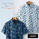 【送料無料】ボタンダウン タイプ 半袖 アロハシャツ AS-300 Pierucci ピエルッチ アロハ シャツ トップス シャツ リゾート 春夏 ファッション...