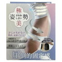 【お買得クーポン対象】【送料無料】「向日葵」 極美姿勢(男女兼用) Lサイズ 介護 腰痛 背骨 コルセット サポーター 骨盤ベルト 姿勢