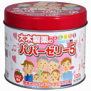 【お買得クーポン対象】【送料無料】【第(2)類医薬品】パパーゼリー5 120粒 ビタミン 栄養補強 幼児