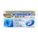 ビエンリックSR 20カプセル 1個 7,000円(税込)以上お買上で無料（沖縄・離島配送なし）