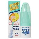 【お買得クーポン対象】【送料無料】【第2類医薬品】カイゲン点鼻薬 30ml 花粉症 鼻炎 ハウスダスト 鼻づまり アレルギー マスク 鼻水 風邪