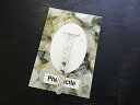 【Heaven&Earth社】【フェナサイト(フェナカイト)】 ガラスチューブ/ペンダントトップ