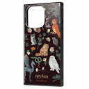 iPhone 13 Pro /『ハリー・ポッター』/耐衝撃ハイブリッドケース KAKU/魔法動物