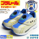 トミカ TOMICA プラレール PLARAIL キッズ スニーカー 新幹線 E7系 かがやき ジュニア シューズ 靴 子供靴 メンズ 男の子 小学生 xz16...