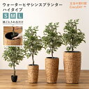 ウォーターヒヤシンス プランター 鉢入れ アジアン 観葉植物 植物 ウォーターヒヤシンス 雑貨 インテリア 室内 ブラウン 茶色 編み かご ゴミ箱 収納 筒型...