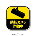 防犯カメラ作動中 マグネット シンプル 防犯カメラ 録画中 ダミー ガレージ 宅配ボックス 磁石 マグネットステッカー マグネットシート 宅配box 玄関 ポスト 案内 表示 防水 配送先変更 セキュリティ セキュリティー 防犯