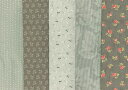 Newプリント生地 5枚セット(プレゼントレシピ付き) 1枚28cm×34cm 柴田明美セレクト 最安送料250円代引き除く 3点以上送料無料 AS-88