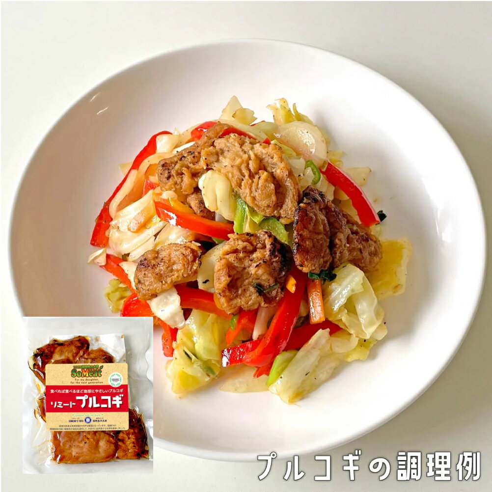 100g プルコギ おかず 晩御飯 大豆ミート 大豆肉 ベジミート 植物肉 代替肉 五葷抜き ヴィーガン ビーガン ベジアリアン 牛乳アレルギー対応 牛乳不使用 卵アレルギー対応 卵不使用 ヘルシー ダイエット 菜食 ヴィーガン対応 ヴィーガン食品 プラントベース 冷凍