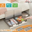 【予約商品 7月1日より順次配送】【お買い物マラソン & ポイント10倍】収納ボックス 収納ケース ベット下収納ボックス キャスター付き 積み重ね 衣装ケース 大容量 防塵 防湿 無臭 厚み 書類/衣類/布団/おもちゃ/小物/食品収納 家庭用 業務用 オフィス用 組立簡単 耐久性